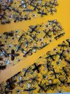 Instaliacija Teisingumas — nuotrauka 9