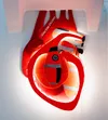 Chance: heart created of paramedics' uniforms — detail photo 10