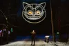 Cheshire cat — detail photo 1