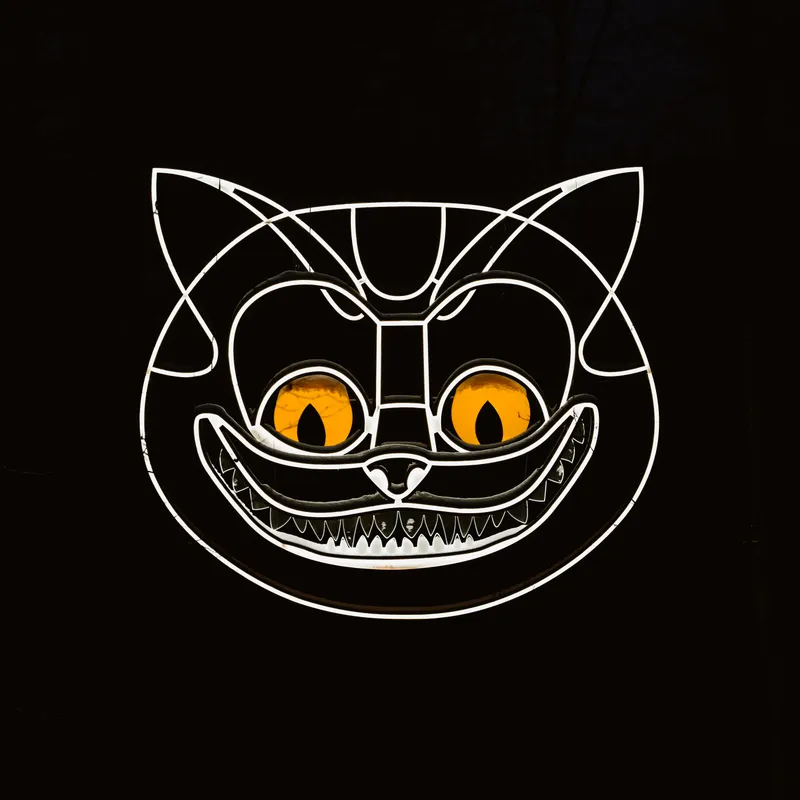 Cheshire cat — detail photo 2