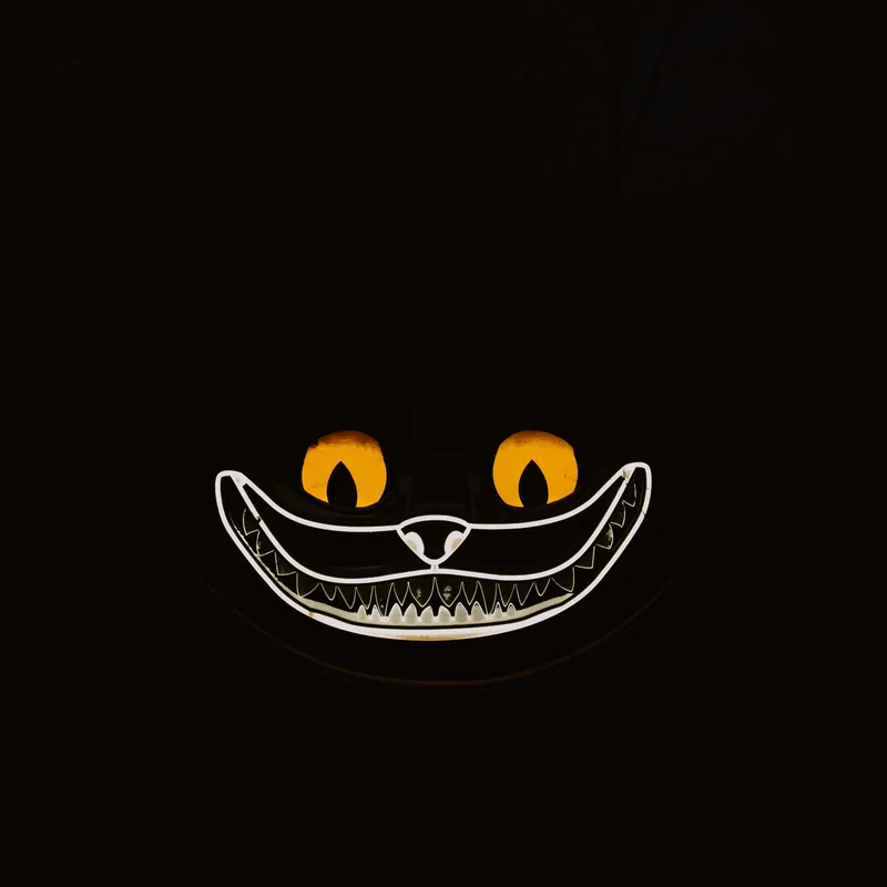 Cheshire cat — detail photo 4