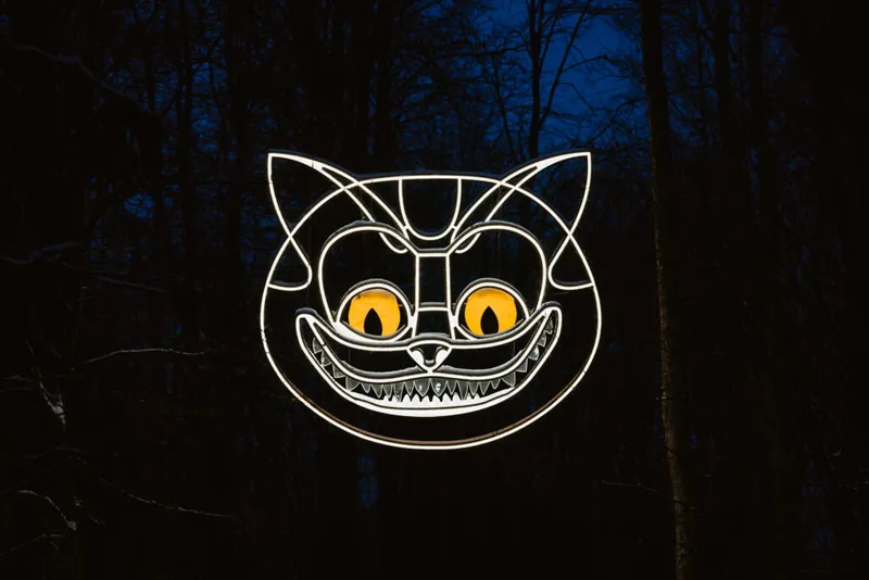 Cheshire cat — detail photo 6