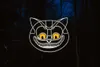 Cheshire cat — detail photo 6