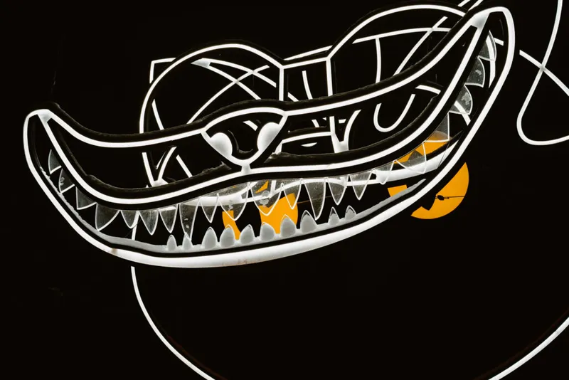 Cheshire cat — detail photo 7