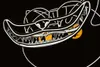 Cheshire cat — detail photo 7
