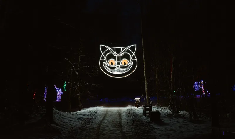 Cheshire cat — contemporary art object by Agne Kisonaite