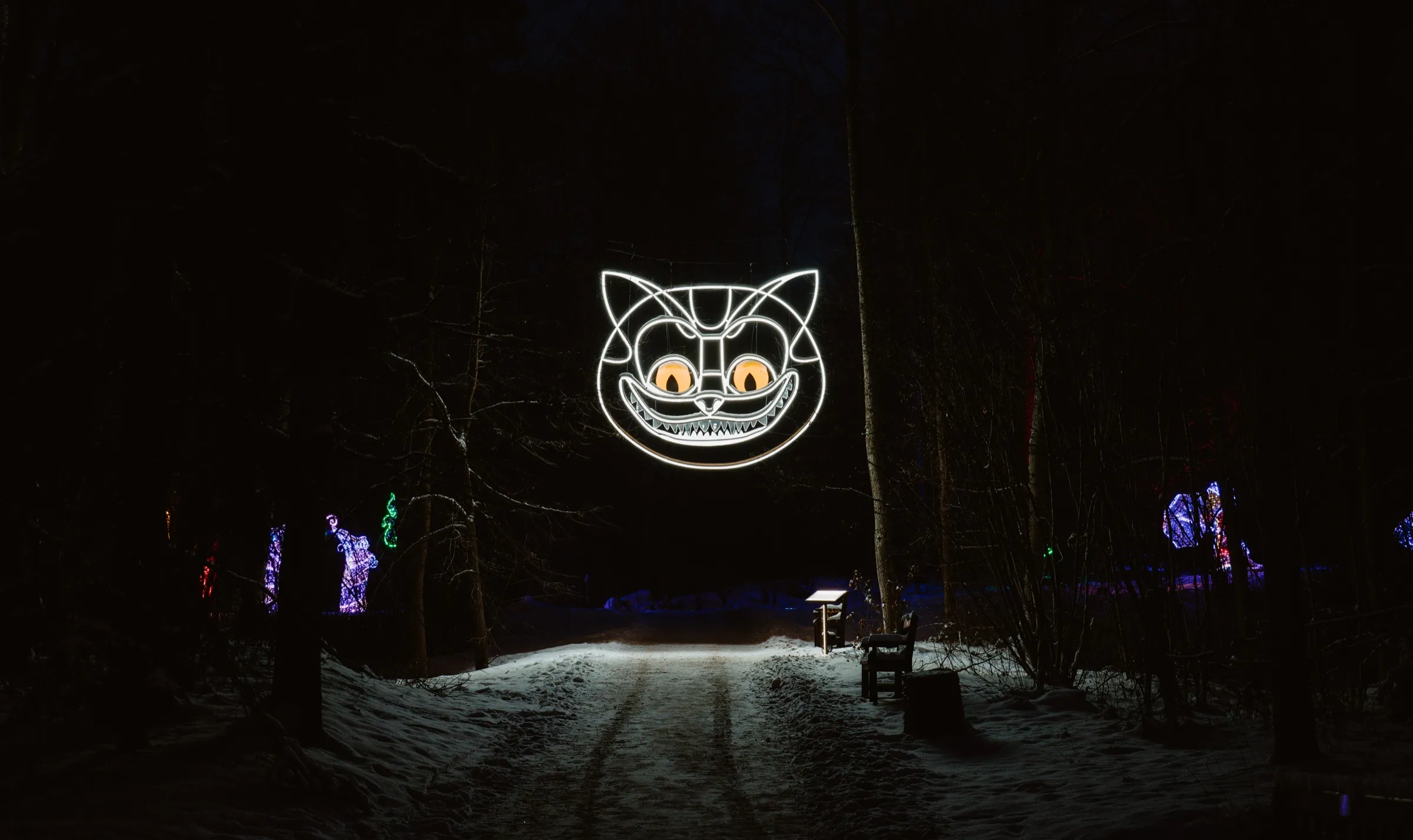 Cheshire cat — contemporary art object by Agne Kisonaite