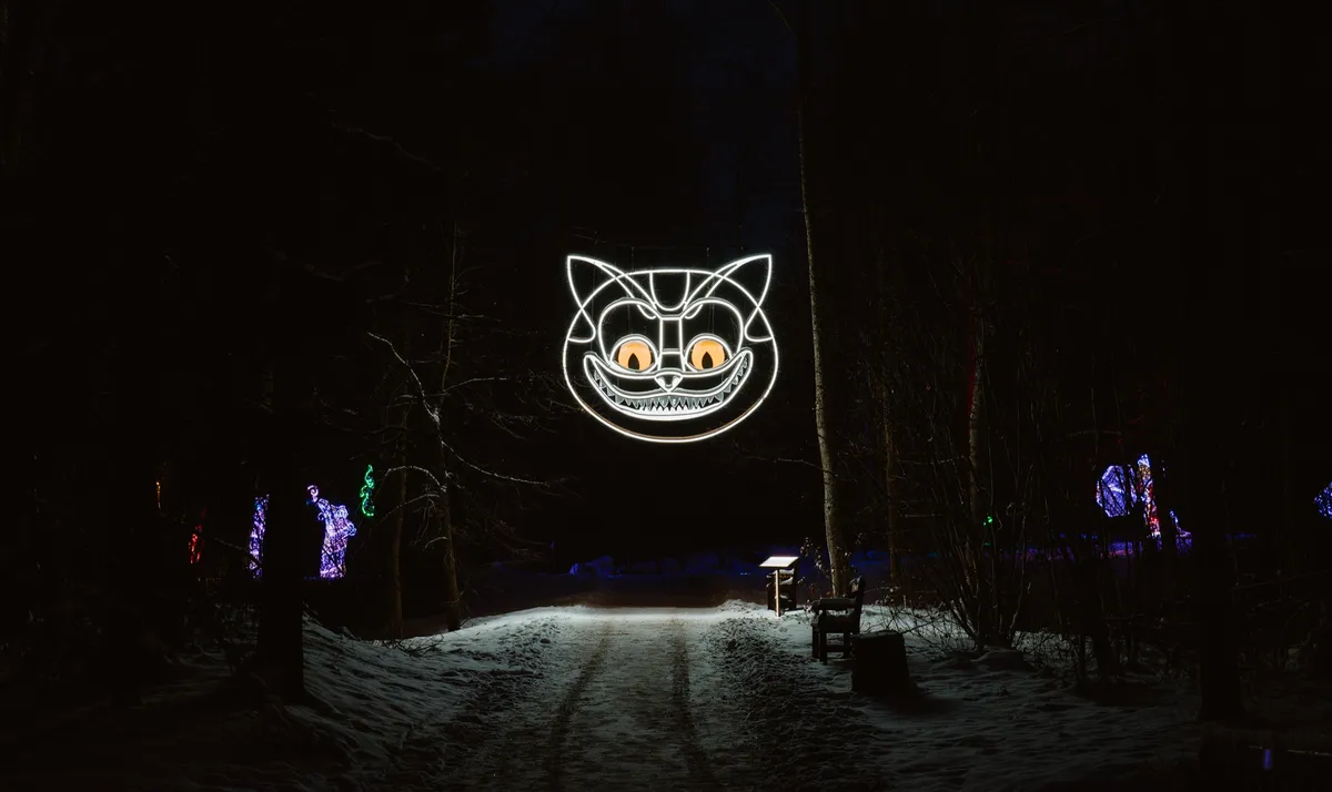Cheshire cat — contemporary art object by Agne Kisonaite