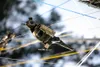 Electronic waste art: birds made of used electronics — detail photo 8