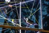 Electronic waste art: birds made of used electronics — detail photo 9